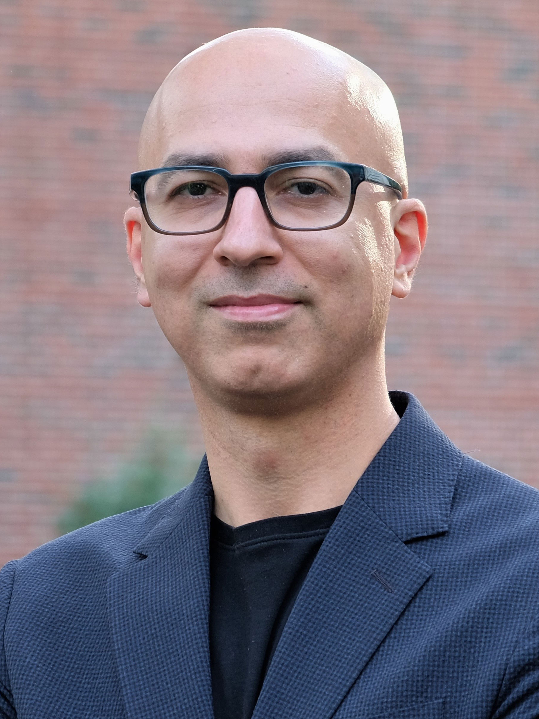 Professor Babak Heydari